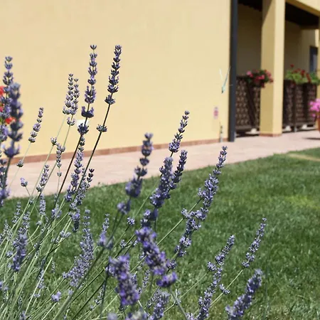 Podere Tre Cipressi