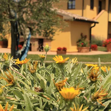 Podere Tre Cipressi Aparthotel